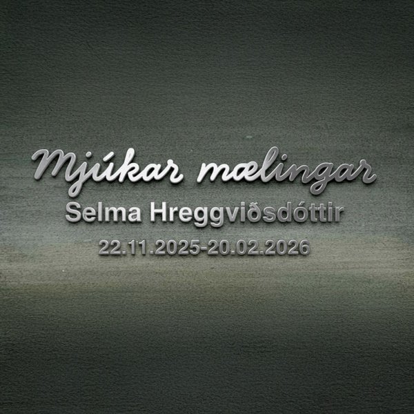Selma Hreggviðsdóttir - Mjúkar mælingar
