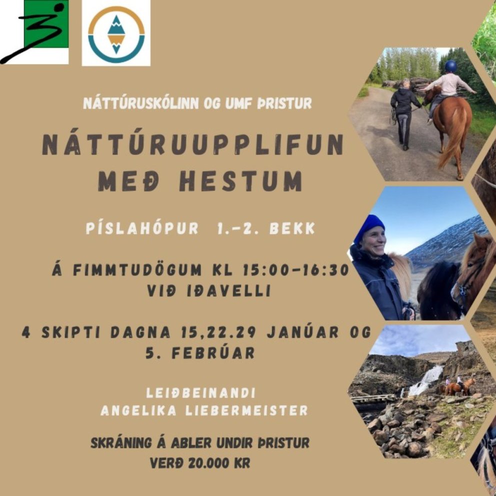 Náttúruupplifun með hestum