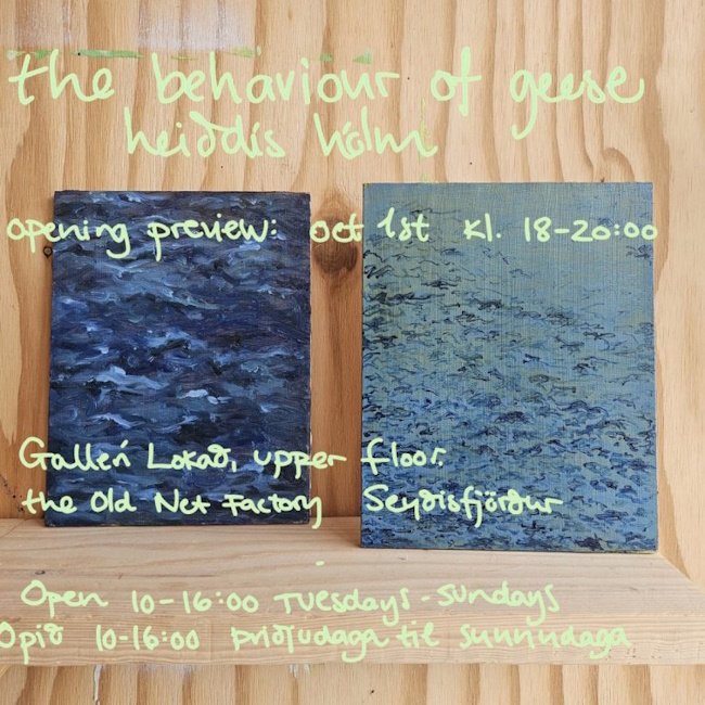 Opnun: The Behaviour of Geese - Heiðdís Hólm