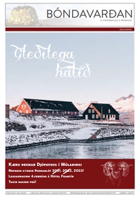 Jólablað 2022