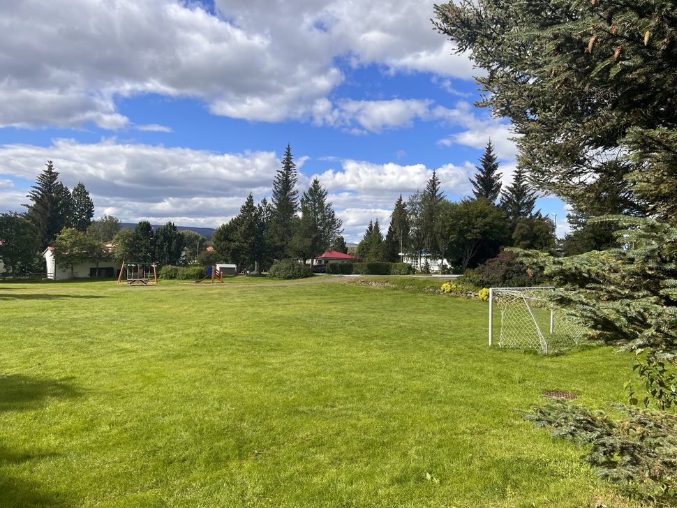 Eyþórs Plokkdagurinn