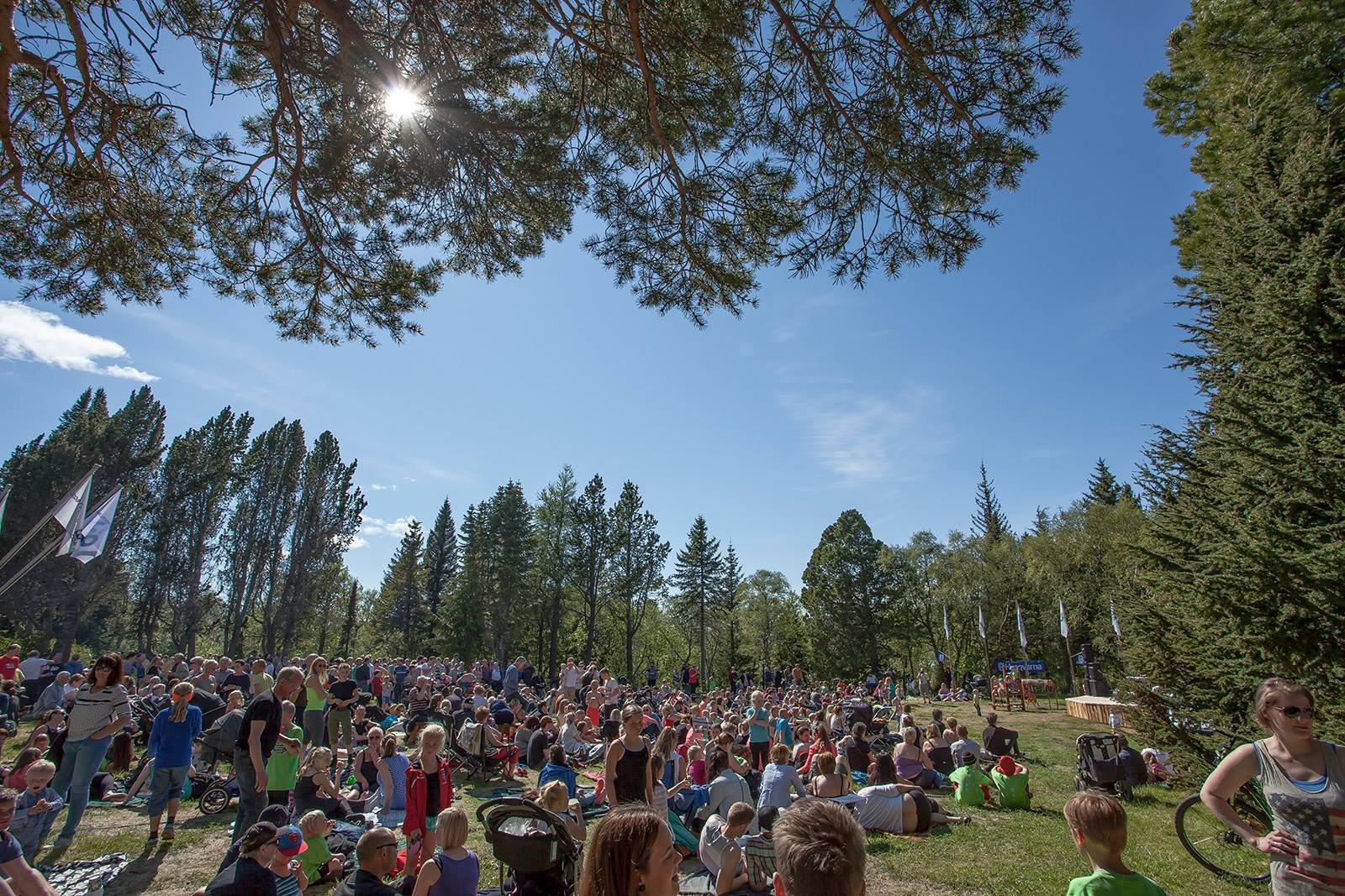 Skógardagurinn mikli í Hallormsstaðaskógi 24. júní 2023