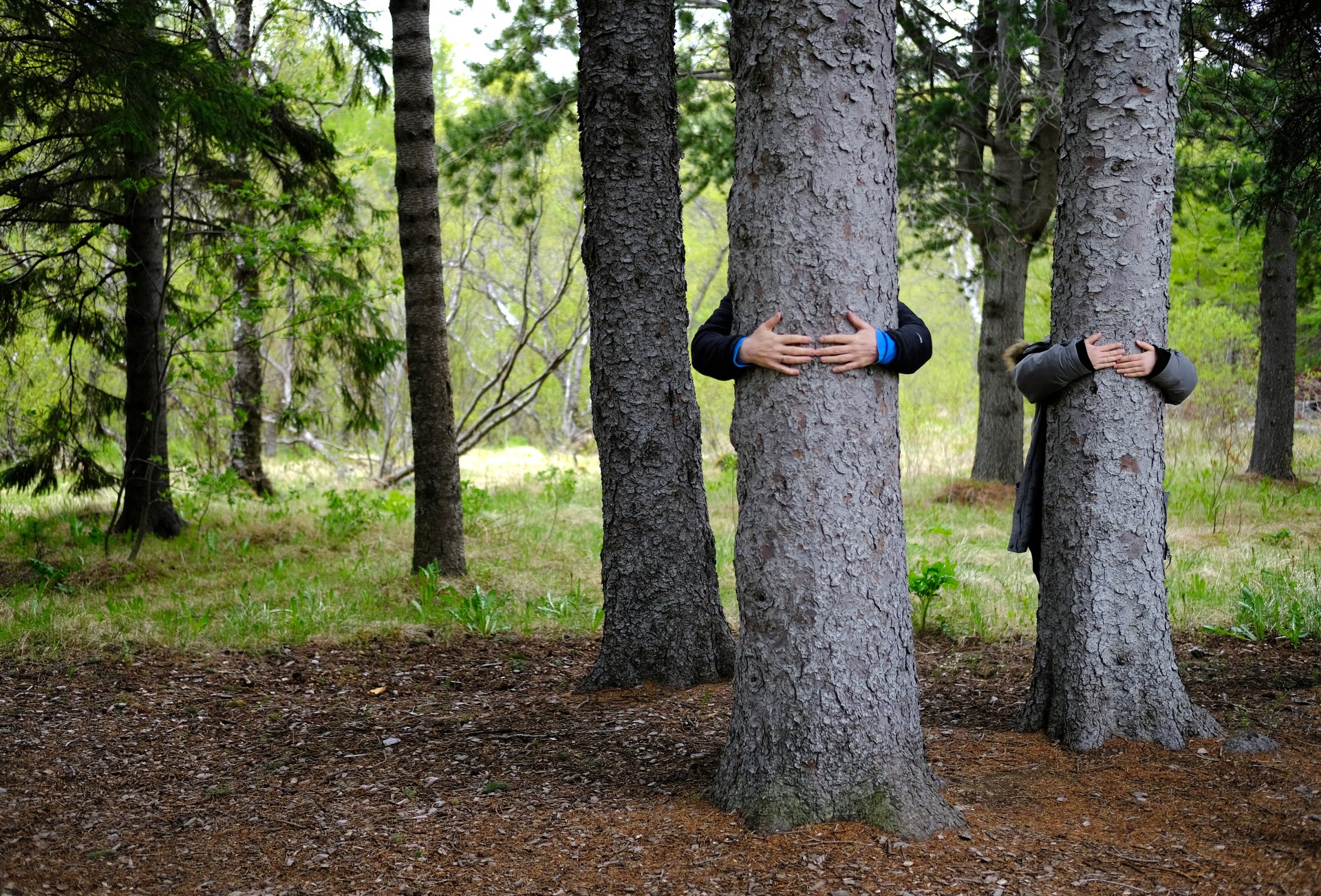 Góður gangur í Hreinsunarátaki