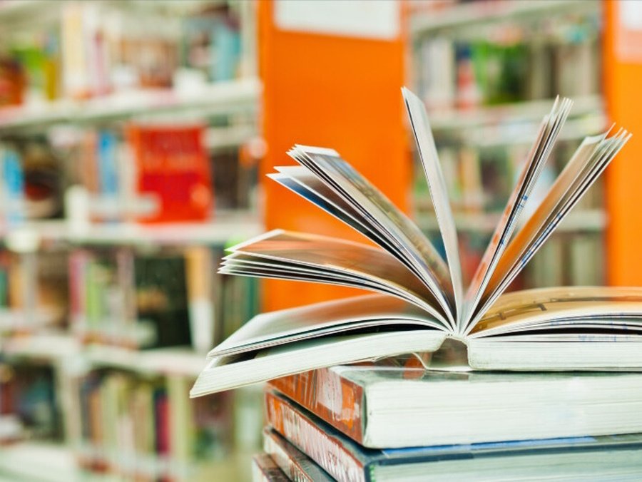 Frá Bókasafni Djúpavogs