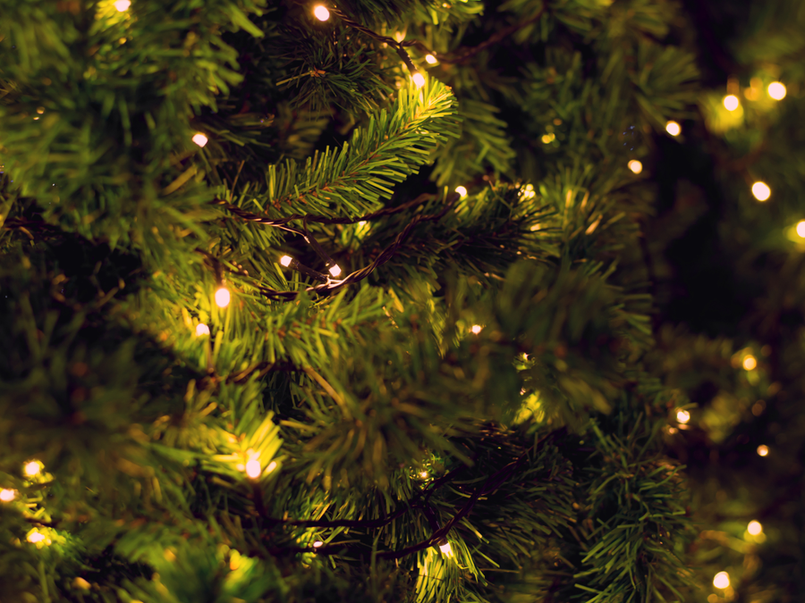 Ljósin tendruð á jólatrjám