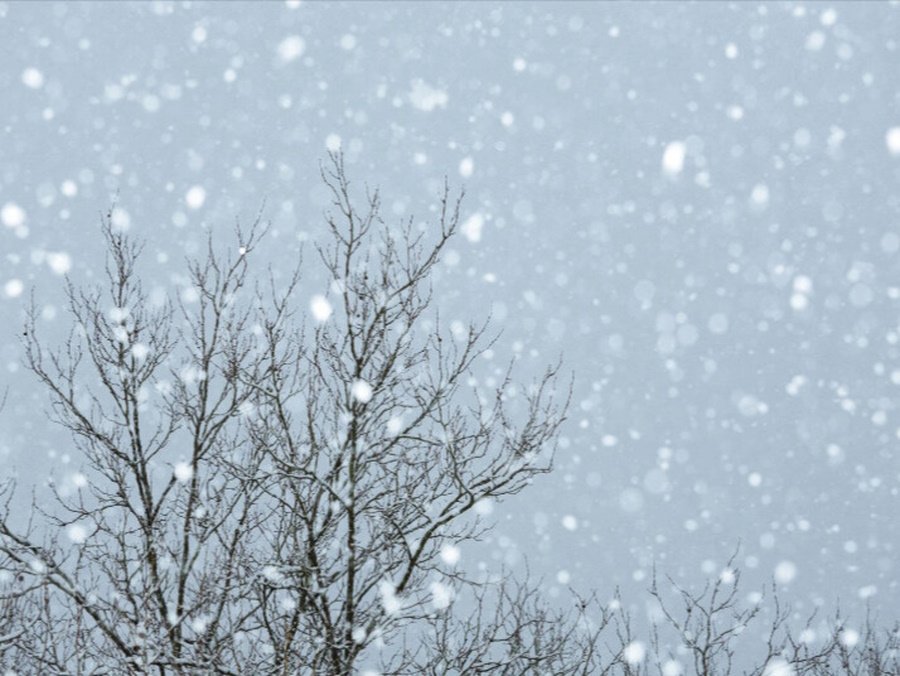 Appelsínugul veðurviðvörun á Austurlandi frá hádegi – áhrif á íbúa og þjónustu