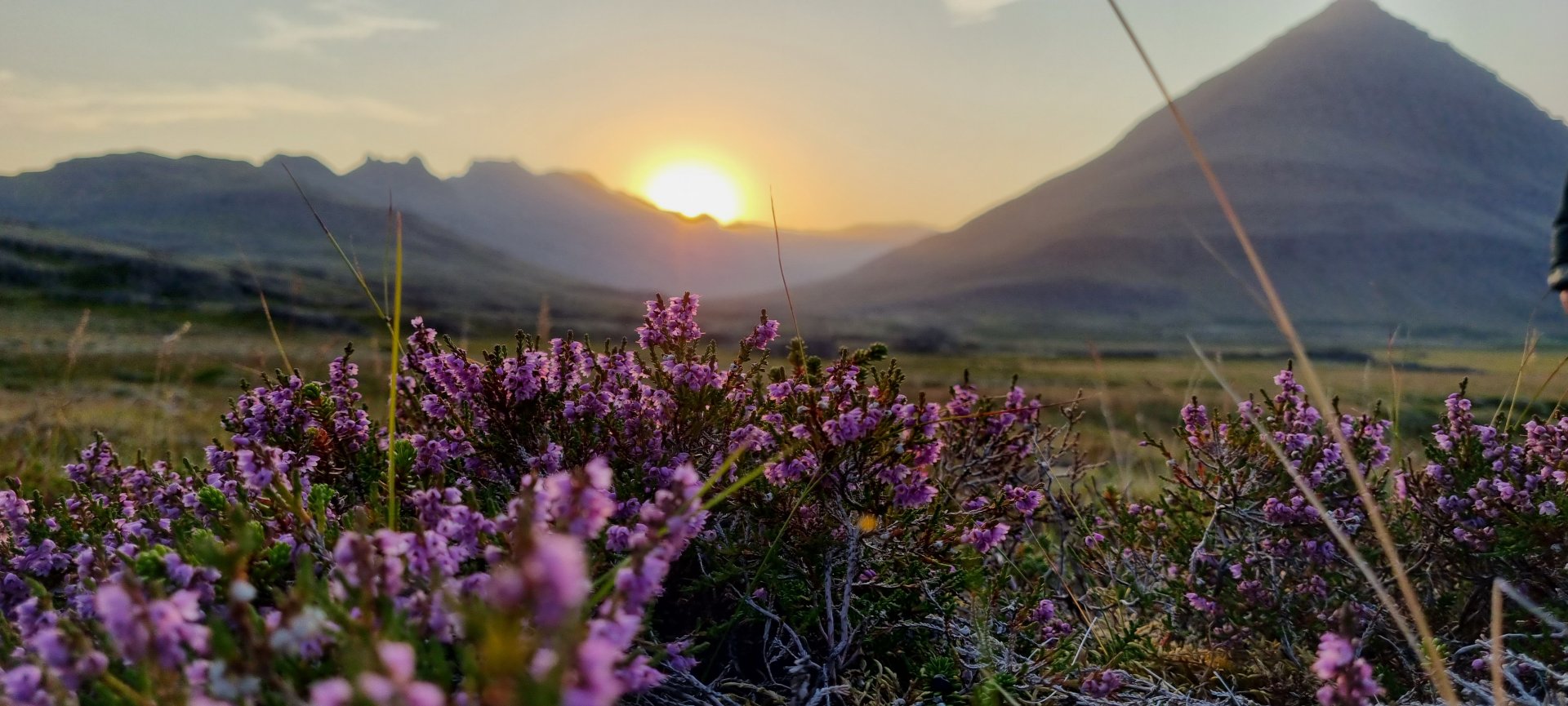 50 ára friðlýsingarafmæli Teigarhorns