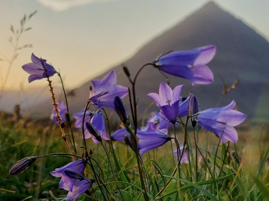 Aðalskipulag Múlaþings 2025-2045