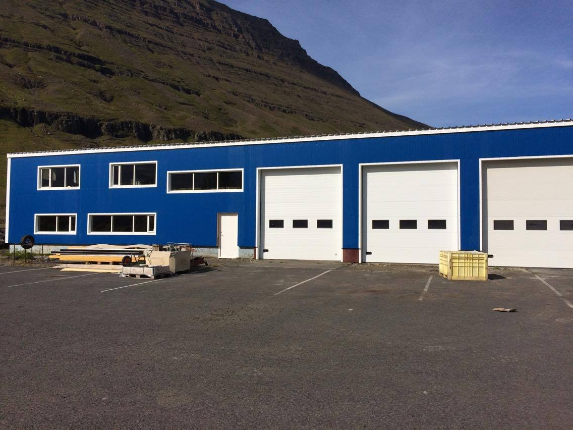 Hunda- og kattahreinsun