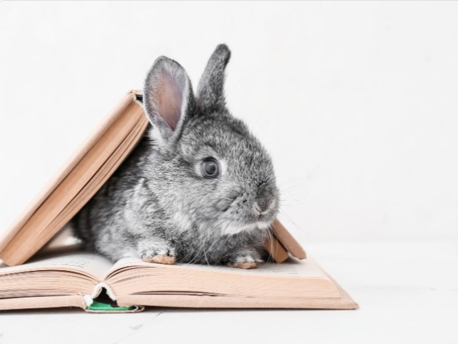 Frá Bókasafni Múlaþings á Seyðisfirði