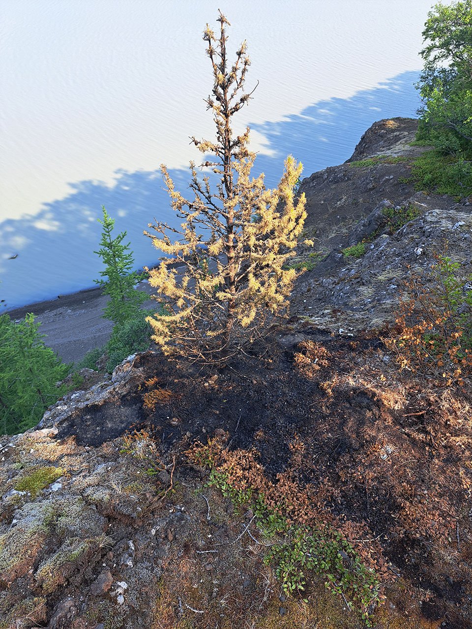 Hætta á gróðureldum