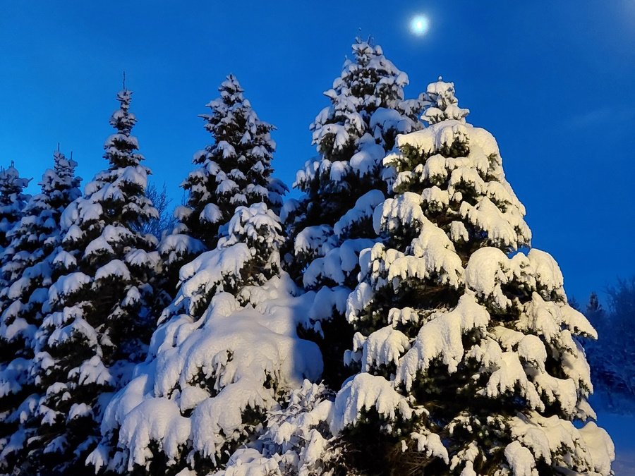 Strætó á Egilsstöðum