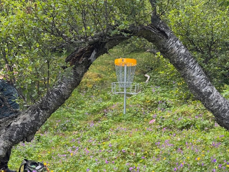 Mynd: Frisbígolfvöllur í Selskógi á Egilsstöðum.