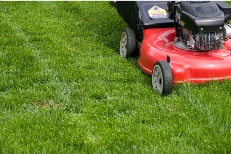 Garðsláttur fyrir eldri borgara og öryrkja í Múlaþingi