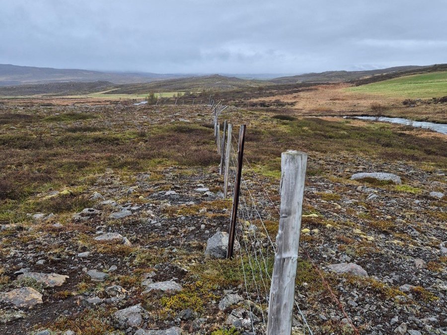 Mynd af núverandi girðingu.