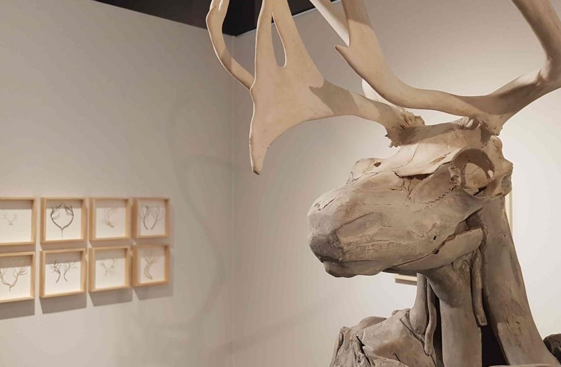 Ársskýrsla Minjasafns Austurlands og Alþjóðlegi safnadagurinn