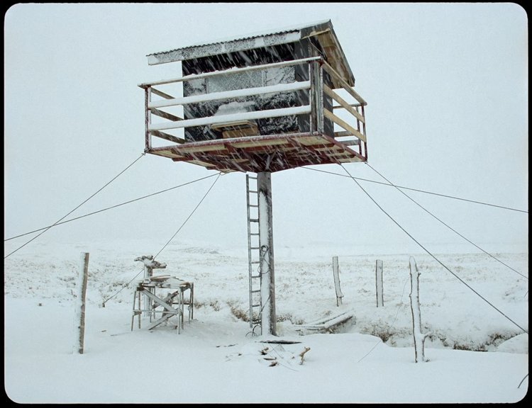 Fiskisúpa- ljósmyndasósa