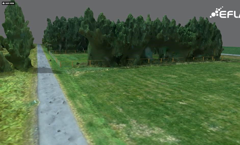 Skipulag í auglýsingu