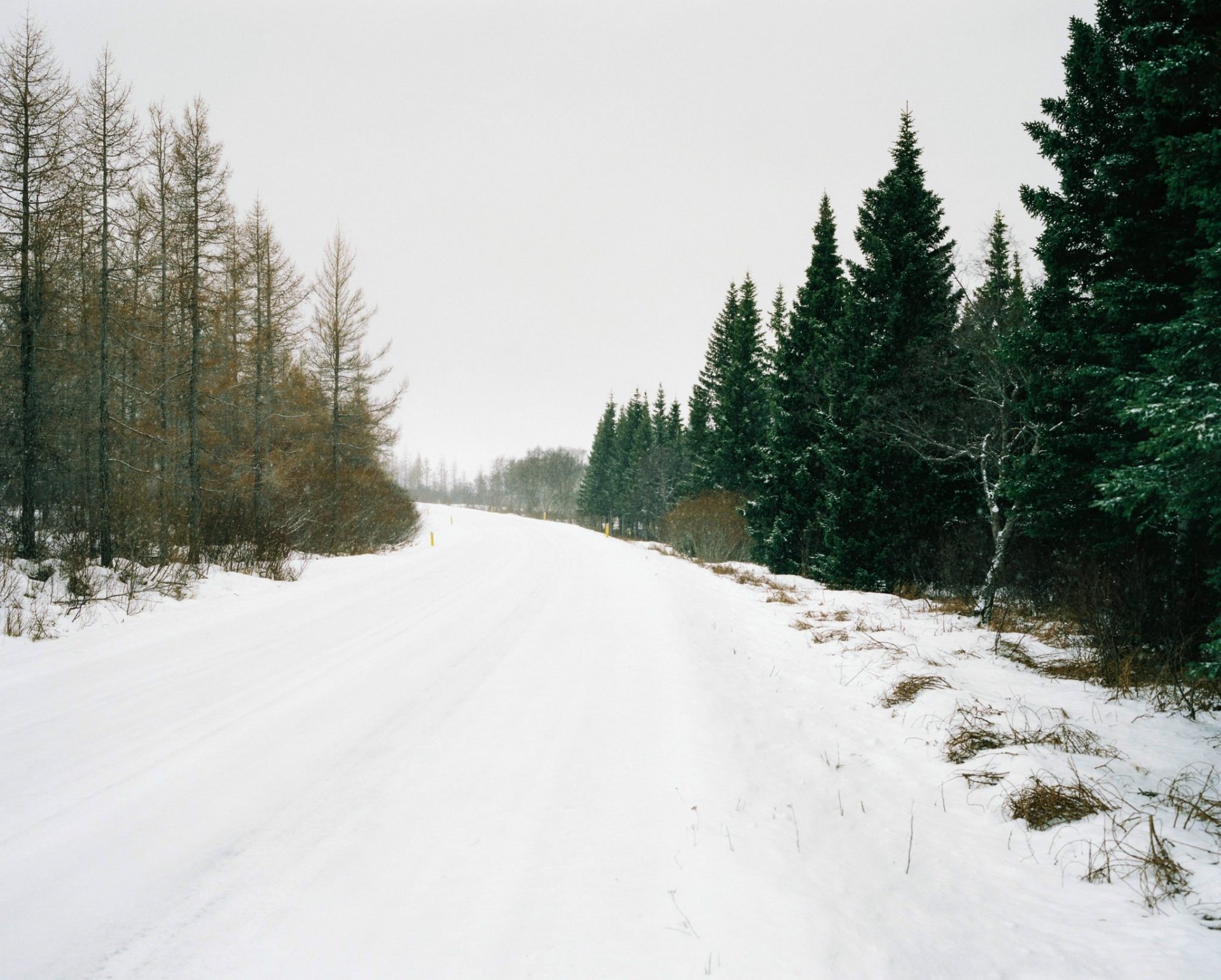 Fundur sveitarstjórnar í beinni útsendingu