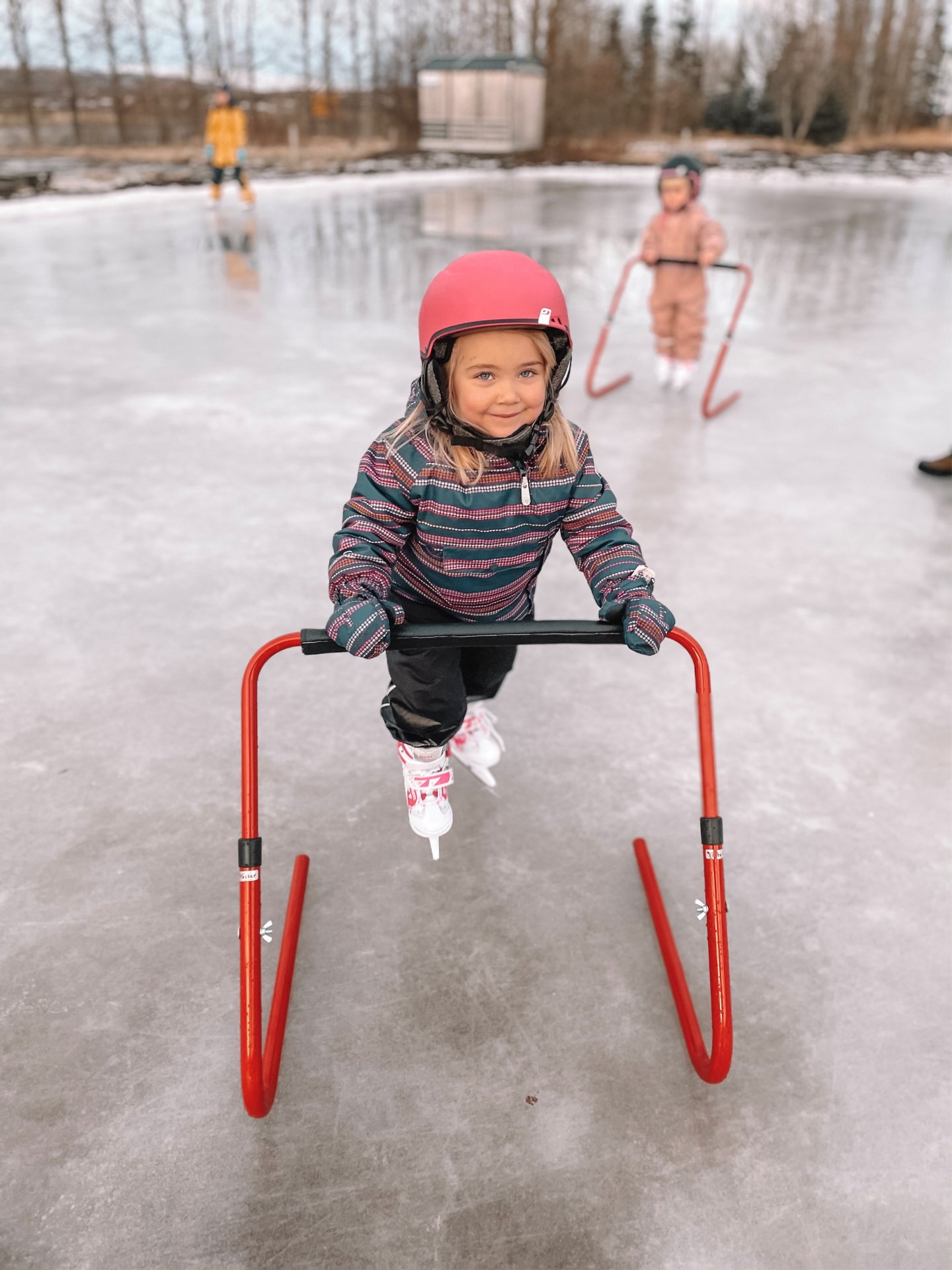 Mynd birt með leyfi.