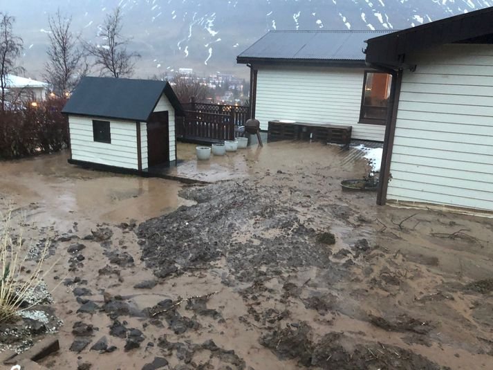 Mynd Davíð Kristinsson.