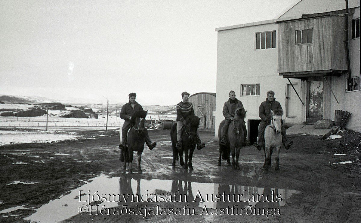 Vannst þú í Sláturhúsinu?