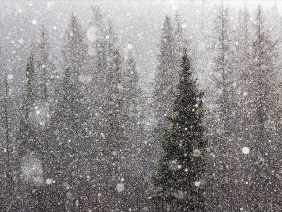 Ferðir strætó falla niður og sorphirða á Djúpavogi