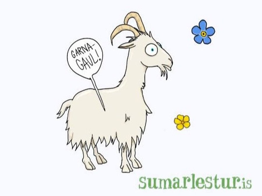 Sumarlesturinn hafinn á Bókasafni Múlaþings