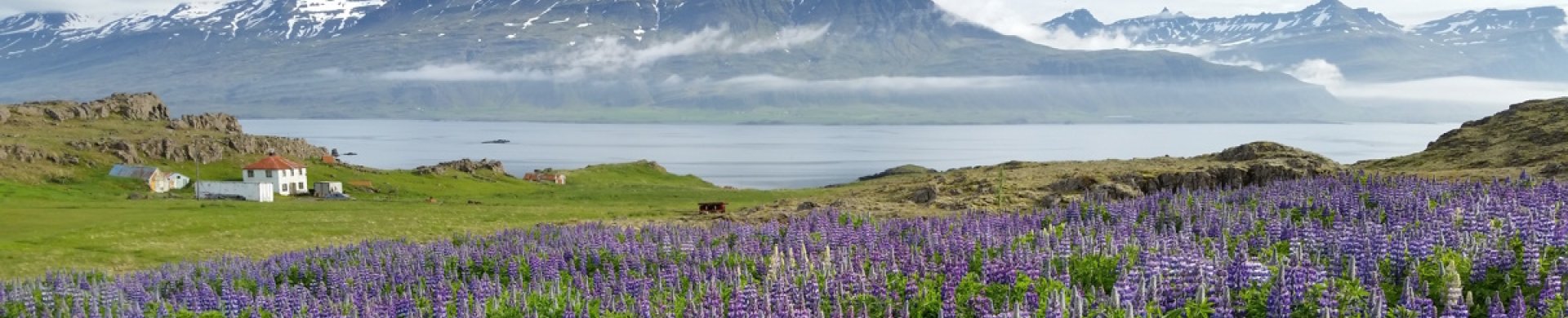 Djúpivogur