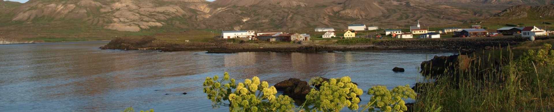 Undirsíðubanner